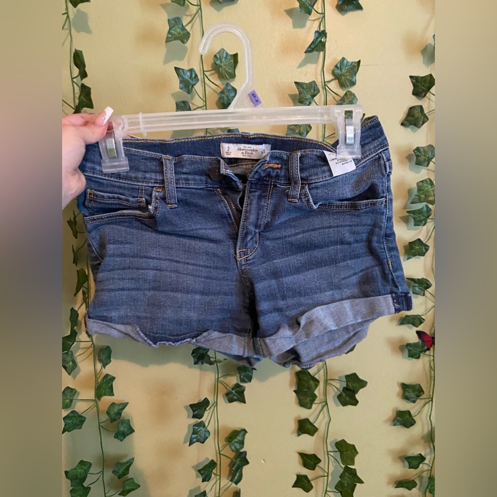 Size 2 Abercrombie And Fitch Denim Shorts